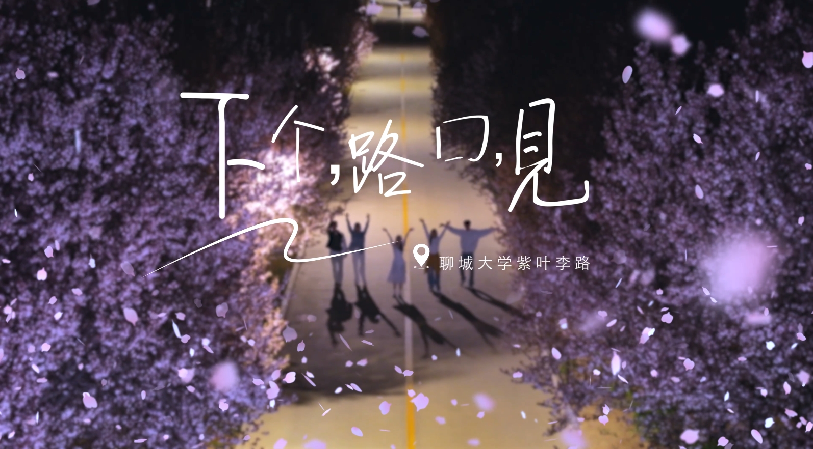 《下个路口见》——聊城大学紫叶李路版