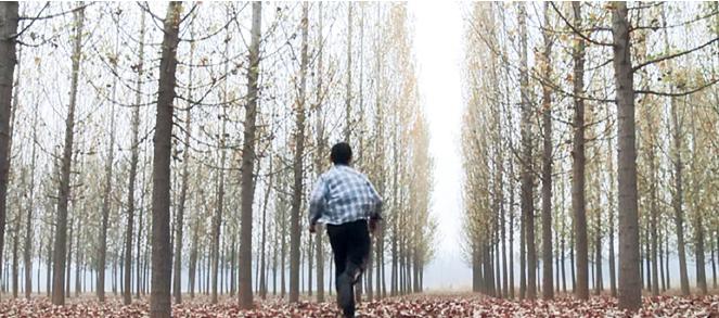 WPS图片(1).jpeg WPS图片(1).jpeg